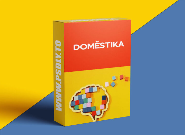 Domestika - Guided Project: Transform Creative Ideas into Meaningful Projects