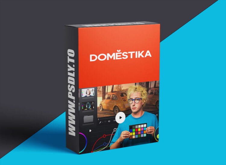 Domestika - Introduction to DaVinci Resolve for Color Correction