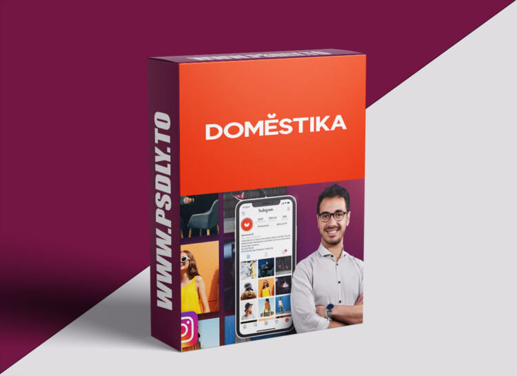 Domestika - Introduction to Digital Marketing on Instagram