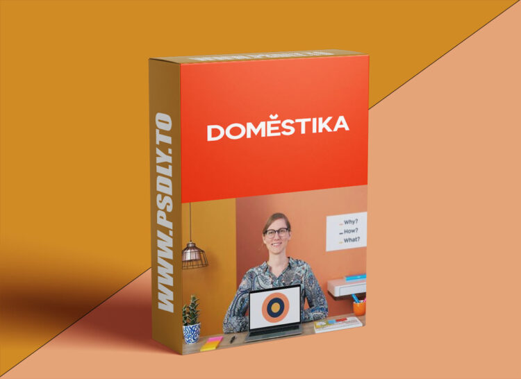 Domestika - Strategy and Research for Brands and Personal Projects