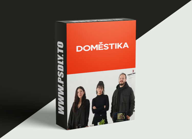 Domestika - Top-down Food Photography