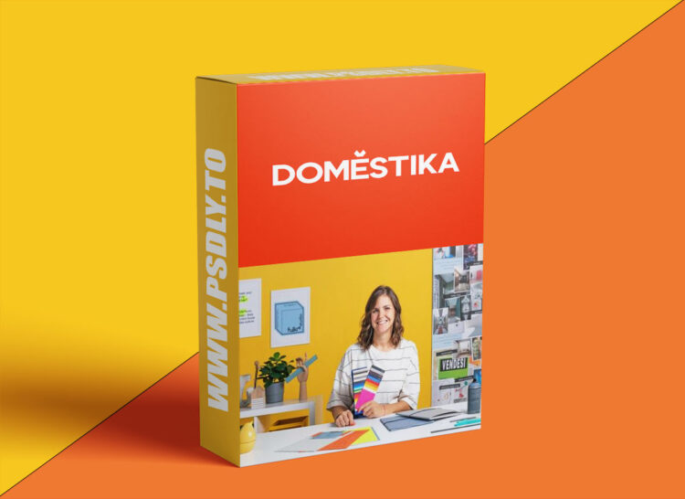 Domestika - Visual Identity for Creatives and Brands