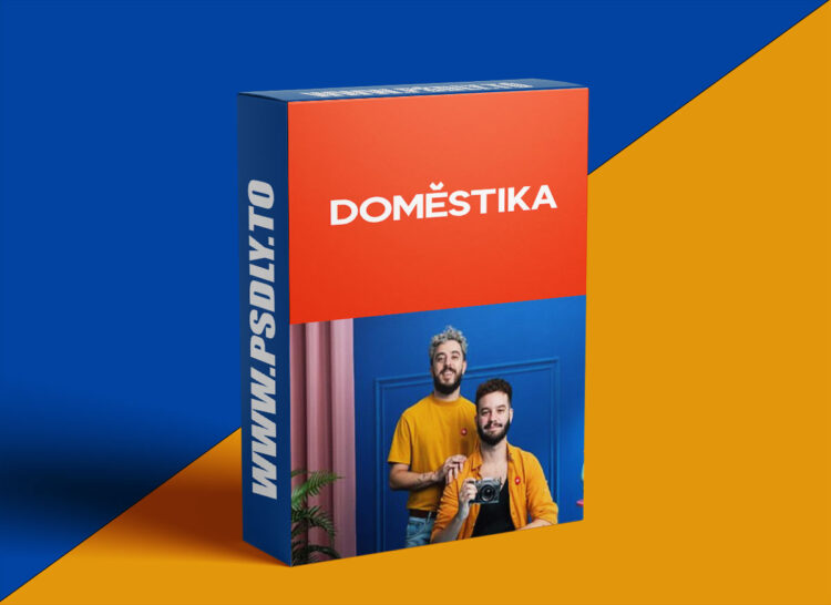 Domestika - Visual Product Content and Creative Direction for Social Media