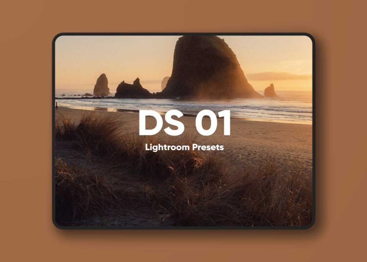 Dylan Spitz DS PRESETS 01