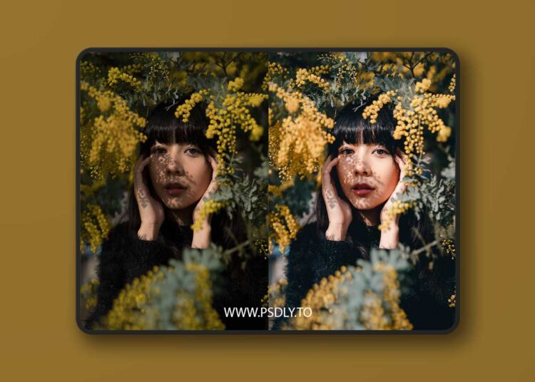 Kohki - Portrait Essentials Preset