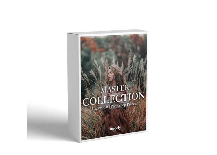 Moody Presets - Master Collection- Pack of 282 Presets