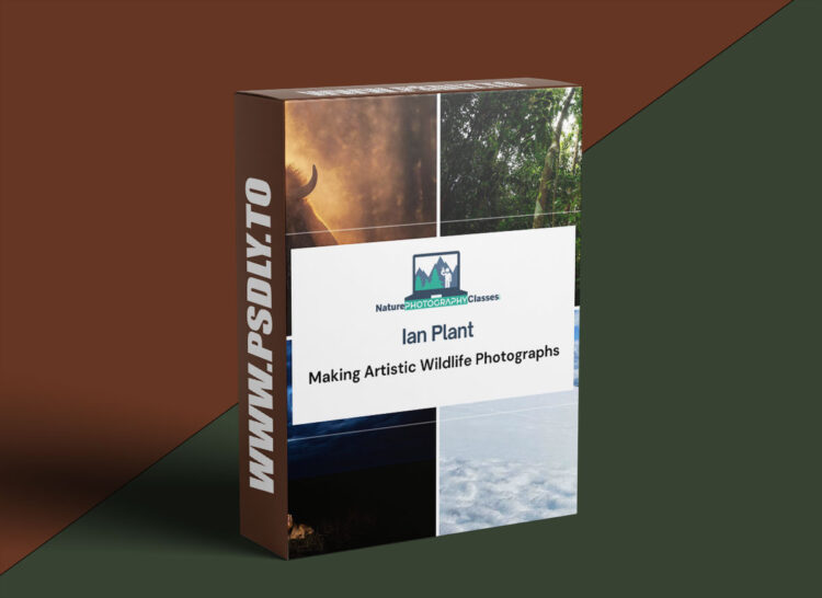 Naturephotographyclasses - Ian Plant - Making Artistic Wildlife Photographs