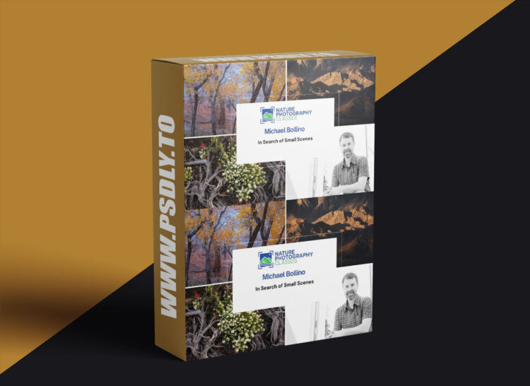Naturephotographyclasses - Michael Bollino - In Search of Small Scenes
