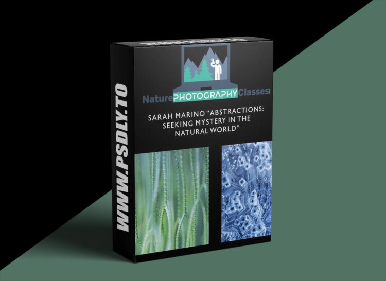 Naturephotographyclasses - Sarah Marino - Abstractions: Seeking Mystery in the Natural World