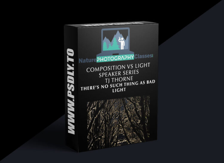 Naturephotographyclasses - TJ Thorne - There is No Such Thing As Bad Light
