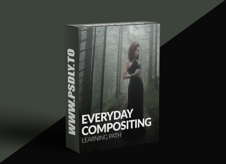 Phlearn - Everyday Compositing Learning Path