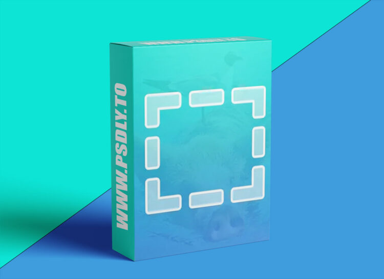 Phlearn - How to Use the Marquee Tool in Photoshop