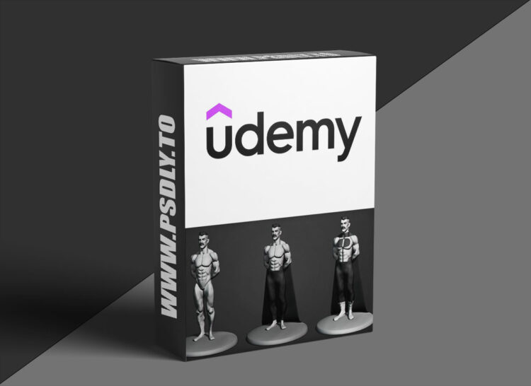 Udemy – Learning Male Anatomy With Omni-Man