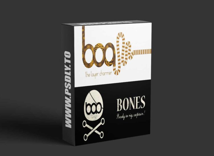 BAO Plugins Bundle 2025.5