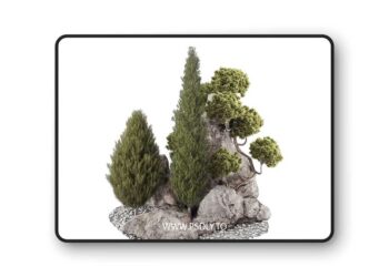 Backyard and landscape pine tree garden and rocks 269 – 3D Model