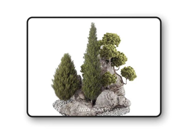 Backyard and landscape pine tree garden and rocks 269 – 3D Model