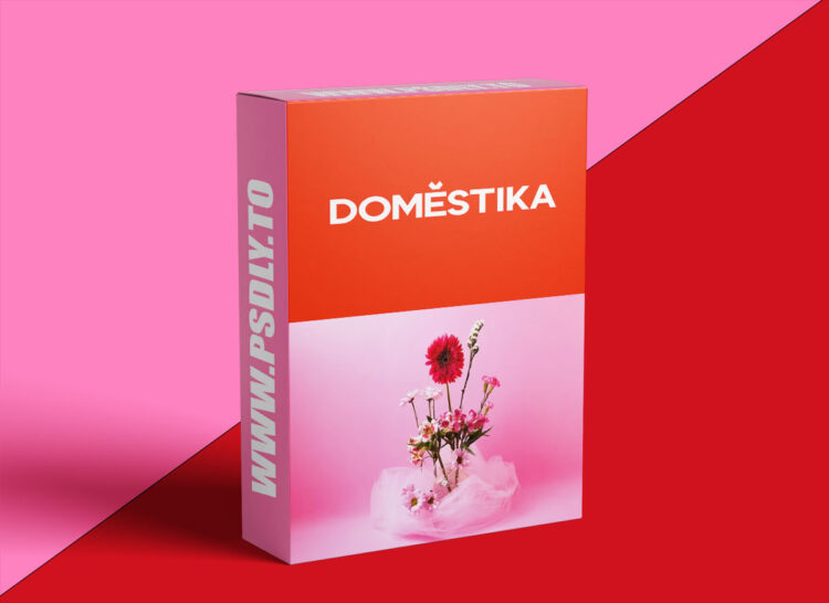 Domestika - Creative Floral Design Specialization