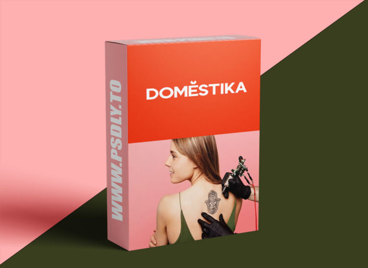 Domestika - Ink Mastery: From Design to Tattoo Specialization