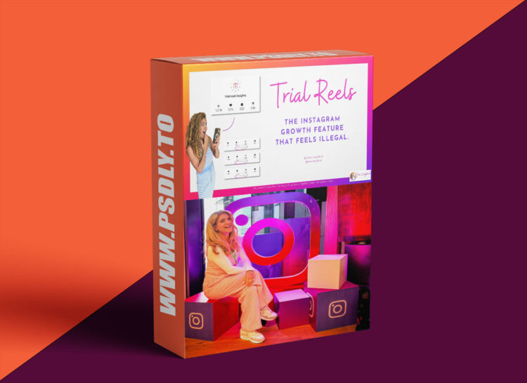 Eve Longfield Birthday Bundle