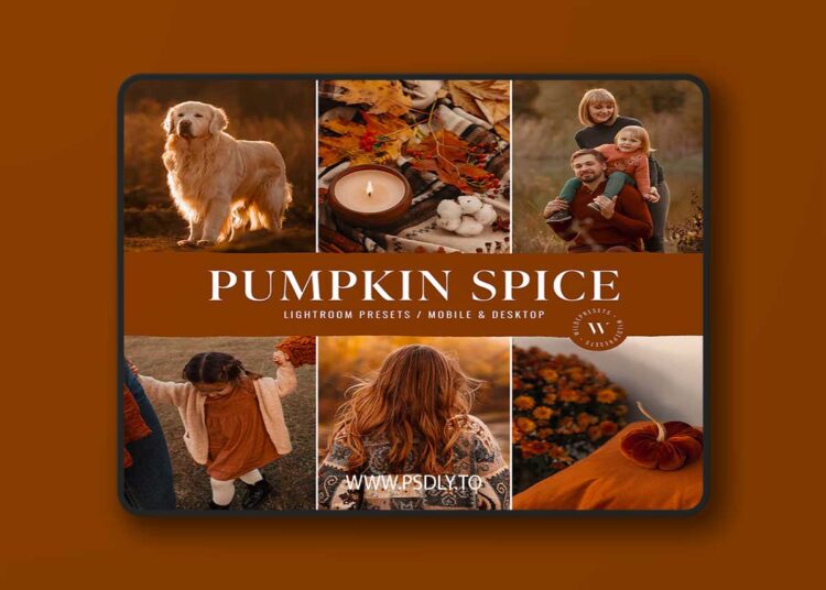 Lemon & Lace - Pumpkin Spice Lightroom Presets