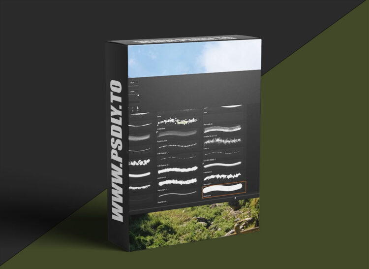 Mattepaint - Photoshop Brush Panel Setup