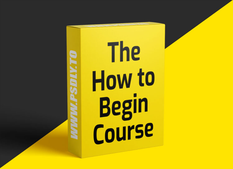 Michael Bungay Stanier The How to Begin Course
