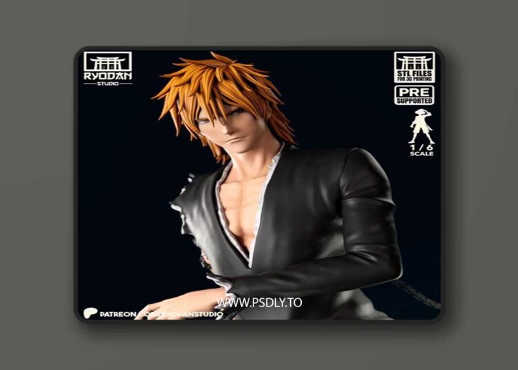 Ryodan Studio – Kurosaki Ichigo (Dangai) – 3D Print Model STL