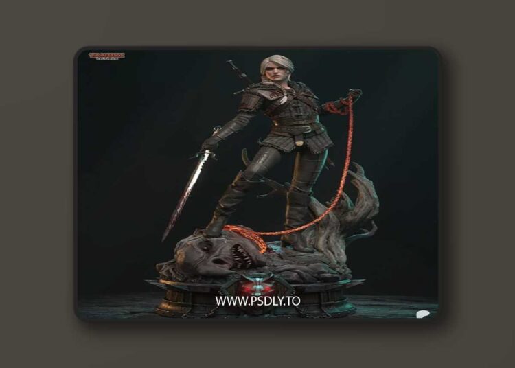 Tanuki Figures – CIRI – The Witcher 4 – 3D Print Model STL