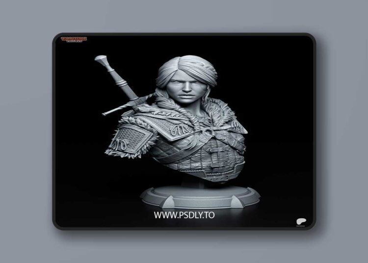 Tanuki Figures – Ciri Bust 3D Print