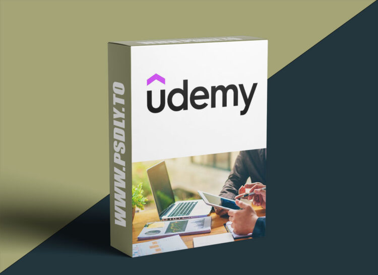 Udemy – Crash Course on Internal Audit, Governance & Risk Management