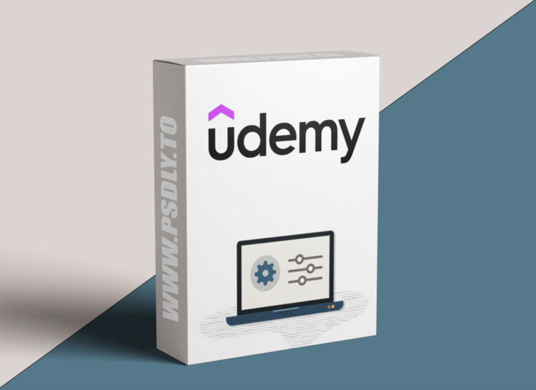 Udemy – NetSuite Ultimate Developer Course for Beginners