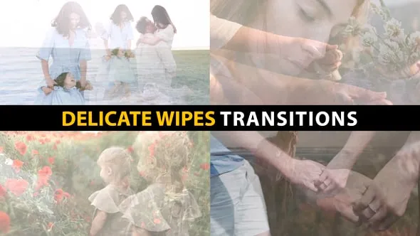 Videohive - Delicate Wipes Transitions | After Effects - 58562167