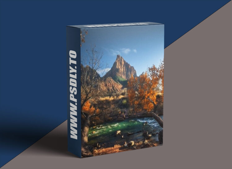 Ben Strauss - Framing the Watchman