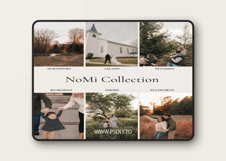 Cedar Sage - NoMi Preset Collection