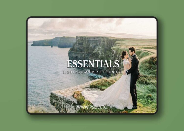 City Turtles Presets - ESSENTIALS Photography Lightroom Bundle