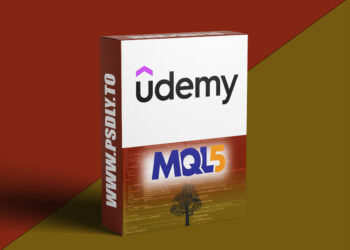 MQL5 ADVANCED: Risk Management for Algorithmic Trading