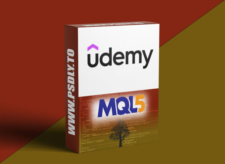 MQL5 ADVANCED: Risk Management for Algorithmic Trading