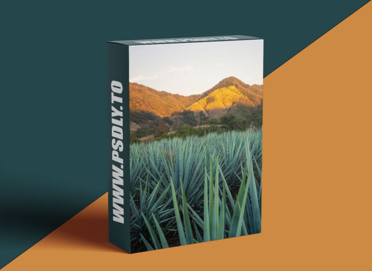 Phlearn - The Beginner’s Guide to Travel Photo Editing