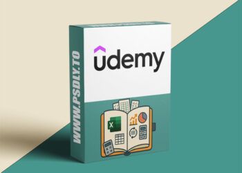 Pocket Guide to Excel Success