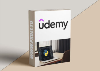 Python Data Visualization Mastery: From Beginner to Expert